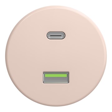 Kliklap - Retro USB utičnica A+C bez okvira, staroružičasta