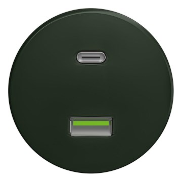 Kliklap - Vintidž USB utičnica A+C bez okvira zelena