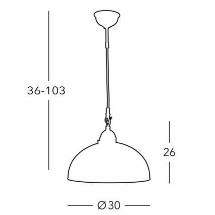 Kolarz 731.30.101 - Luster na sajli NONNA 1xE27/75W/230V pr. 30 cm jelen zelena