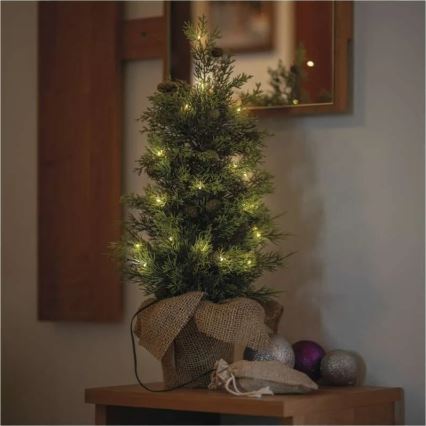 LED božićna dekoracija 30xLED/3xAA IP44
