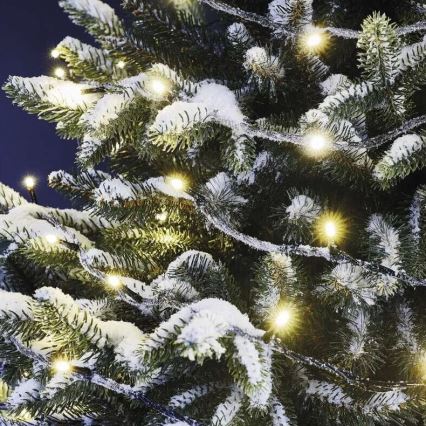 LED Božićne spoljašnje lampice 100xLED/10m IP44 topla bela