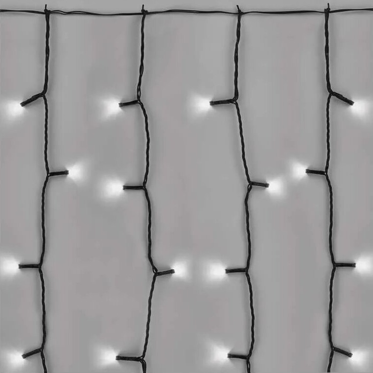 LED Božićne spoljašnje lampice 100xLED/1x2m IP44 hladna bela