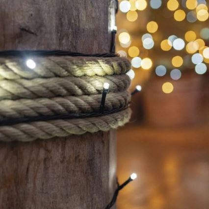 LED Božićne spoljašnje lampice 50xLED/5m IP44 hladna bela