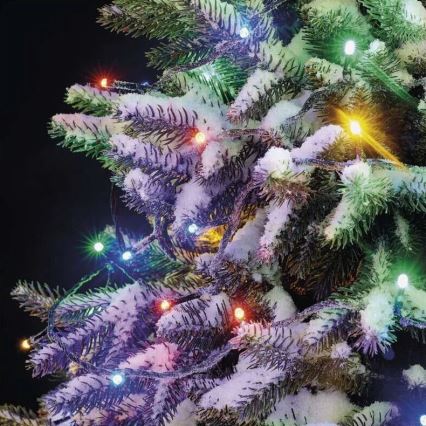 LED Božićne spoljašnje lampice 50xLED/5m IP44 šareni