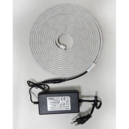 LED Fleksibilna traka NEON LED/10W/230V 5 m IP65 bela