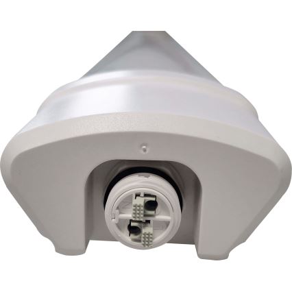 LED Fluorescentna cev DAISY LED/40W/230V 4000K IP65