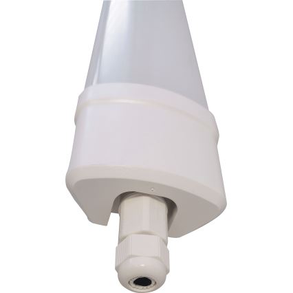 LED Fluorescentna cev DAISY LED/80W/230V 4000K IP65
