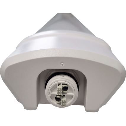 LED Fluorescentna cev DAISY LED/80W/230V 4000K IP65