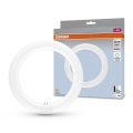 LED Fluorescentna cev G10q/11W/230V 4000K - Osram
