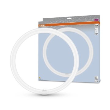 LED Fluorescentna cev G10q/24W/230V 4000K - Osram