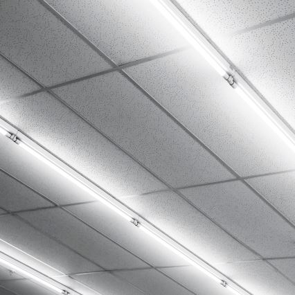 LED Fluorescentna cev G13/20W/230V 4000K 150 cm