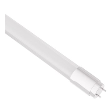 LED fluorescentna cev G13/9W/230V 4000K 60 cm