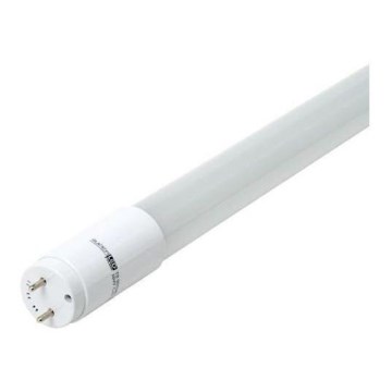LED Fluorescentna cev G13/9W/230V 4000K