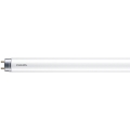 LED Fluorescentna cev Philips MASTER T8 G13/6W/110V 4000K 45 cm