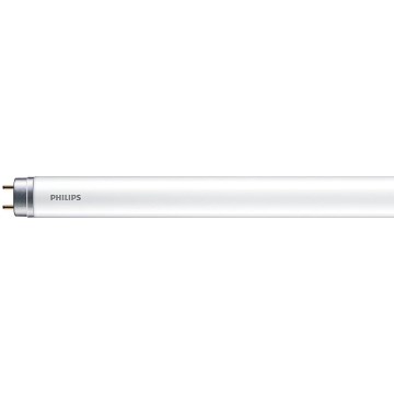 LED Fluorescentna cev Philips MASTER T8 G13/6W/110V 4000K 45 cm