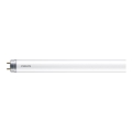 LED fluorescentna cev Philips T8 G13/8W/230V 6500K 60 cm