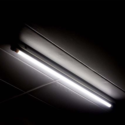 LED Fluorescentna cev T5 G5/16W/230V 4000K 120 cm
