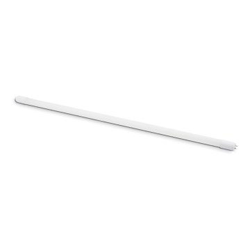 LED Fluorescentna cev T8 G13/18W/230V 4000K 120 cm