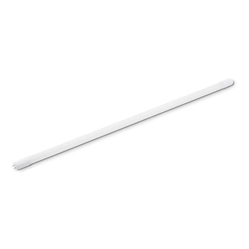 LED fluorescentna cev T8 G13/22W/230V 150 cm