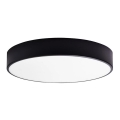 LED kupatilsko plafonsko svetlo RENE LED/15W/230V IP44 crno