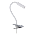 LED Lampa sa štipaljkom LAGOS 1xG9/3W/230V 4000K bela