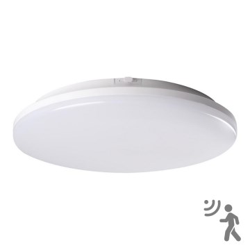 LED Lampa za kupatilo sa senzorom STIVI LED/24W/230V IP65