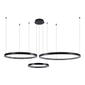 LED luster na sajli 3xLED/19W/230V 3000K crno