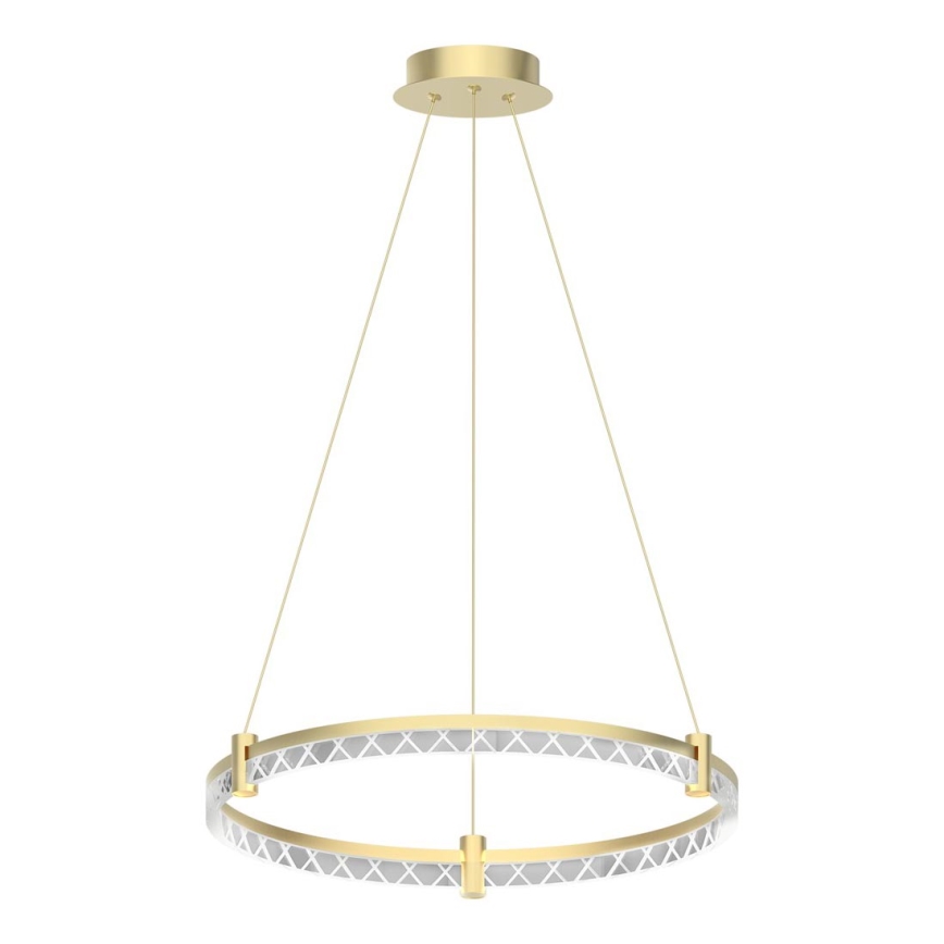LED luster na sajli ELEGANCE LED/36W/230V pr. 60 cm zlatna