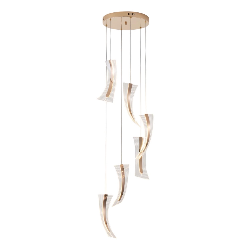 LED luster na sajli FIRENZE 6xLED/10W/230V 3000K