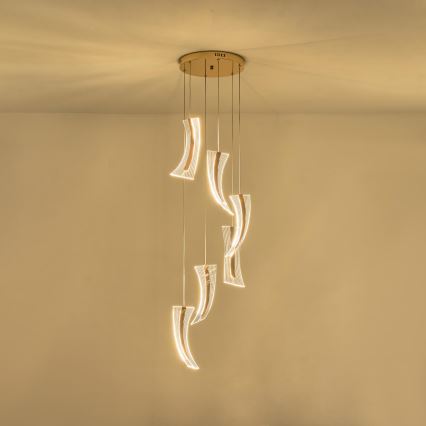 LED luster na sajli FIRENZE 6xLED/10W/230V 3000K