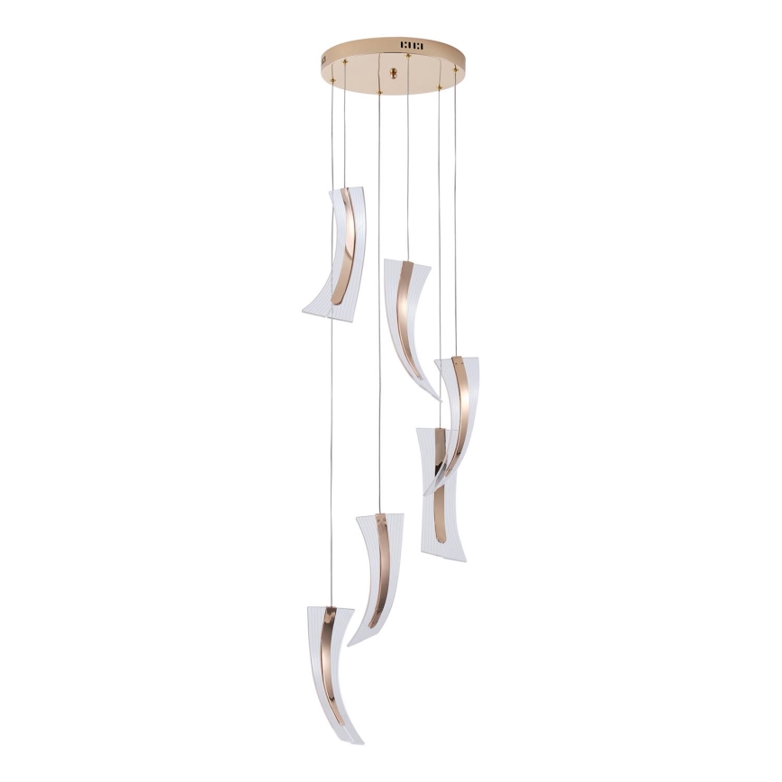 LED luster na sajli FIRENZE 6xLED/10W/230V 3000K