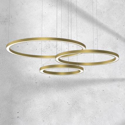 LED luster na sajli GALAXIA LED/85W/230V zlatna