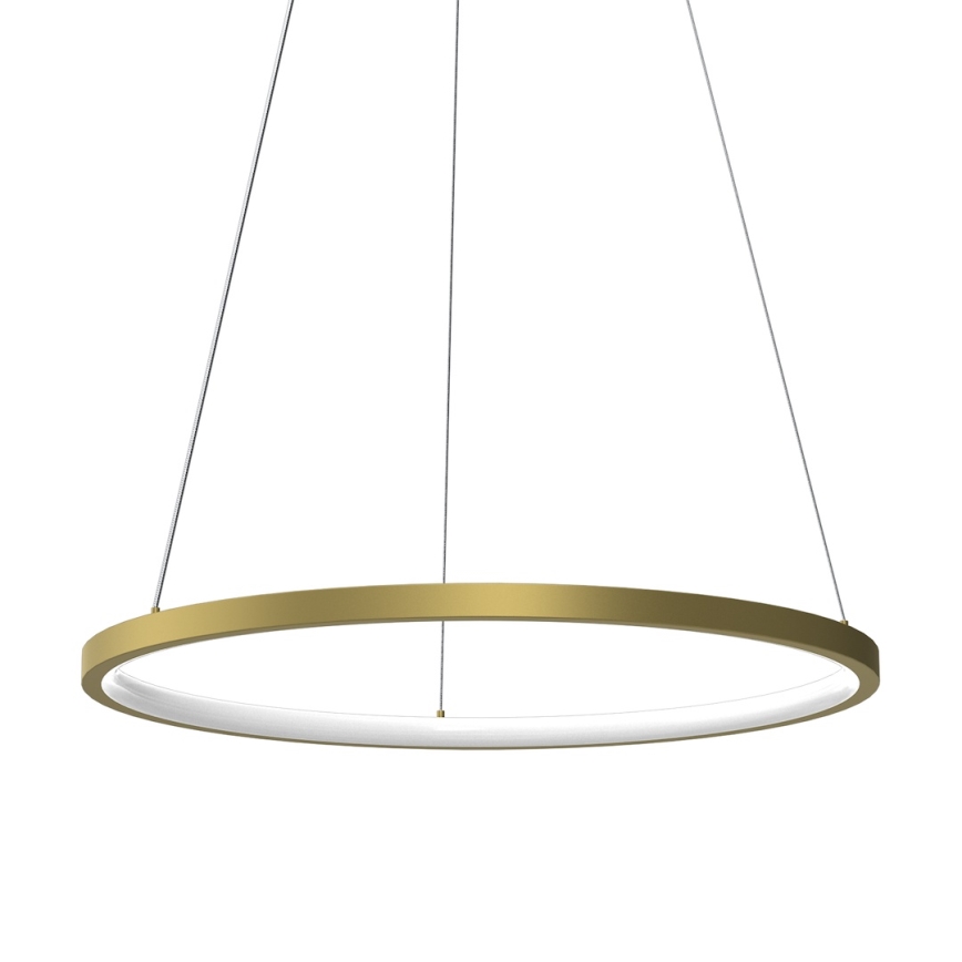 LED luster na sajli HOOP LED/27W/230V pr. 50 cm 4000K zlatna