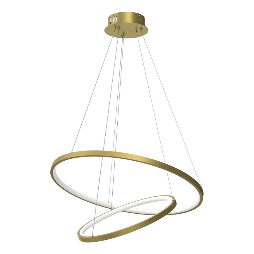 LED luster na sajli HOOP LED/51W/230V pr. 60 cm 4000K zlatna
