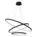LED luster na sajli HOOP LED/93W/230V pr. 60 cm 4000K crno