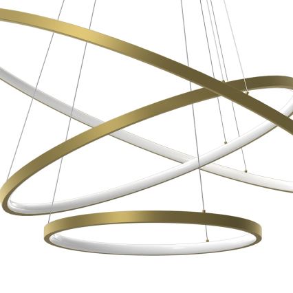 LED luster na sajli HOOP LED/93W/230V pr. 80 cm 4000K zlatna