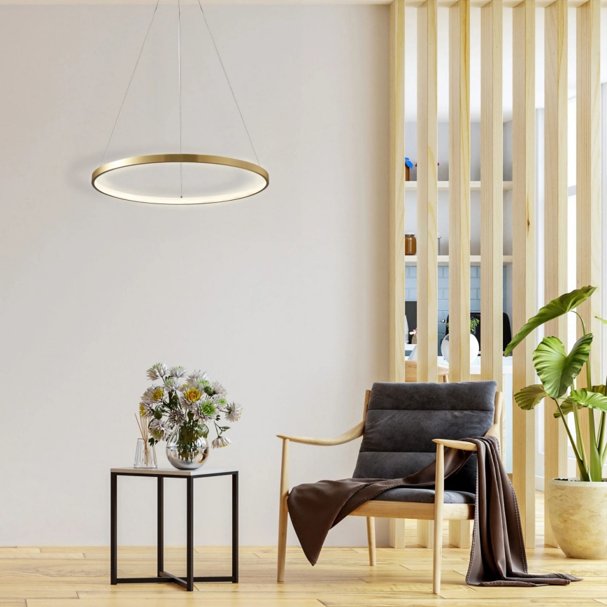 LED luster na sajli LEA LED/20W/230V 4000K pr. 50 cm zlatna