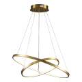LED luster na sajli LEA LED/35W/230V 4000K pr. 60 cm zlatna
