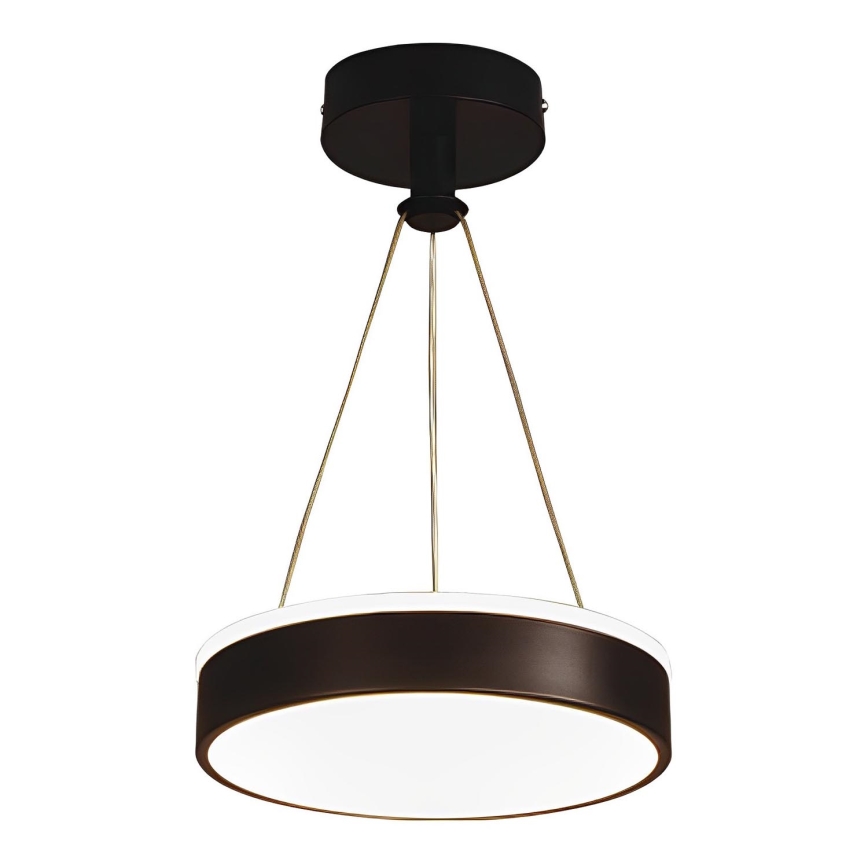 LED luster na sajli LED/12W/230V 4000K crno