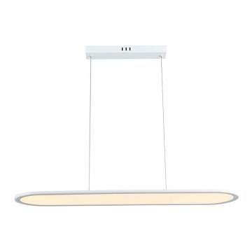 LED luster na sajli LED/24W/230V 3000K bela