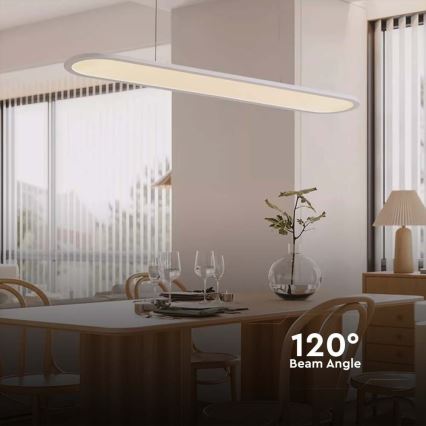 LED luster na sajli LED/24W/230V 3000K bela
