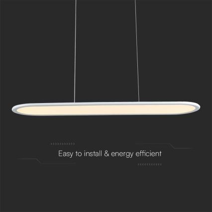 LED luster na sajli LED/24W/230V 3000K bela