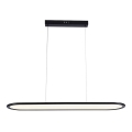 LED luster na sajli LED/24W/230V 3000K crno