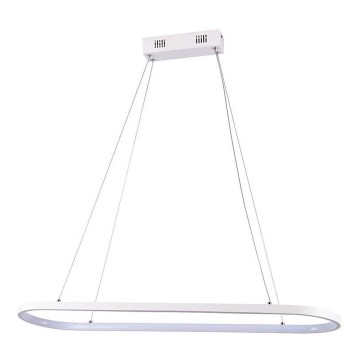 LED luster na sajli LED/24W/230V 4000K bela