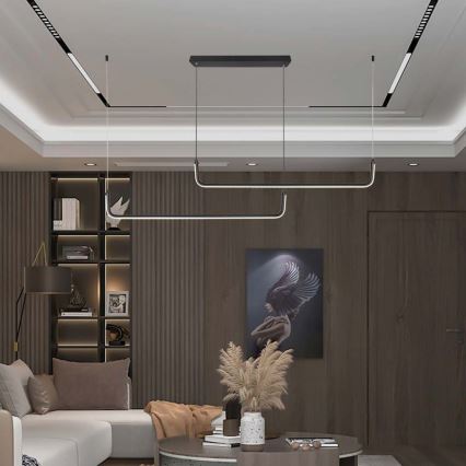 LED luster na sajli LED/24W/230V 4000K crno
