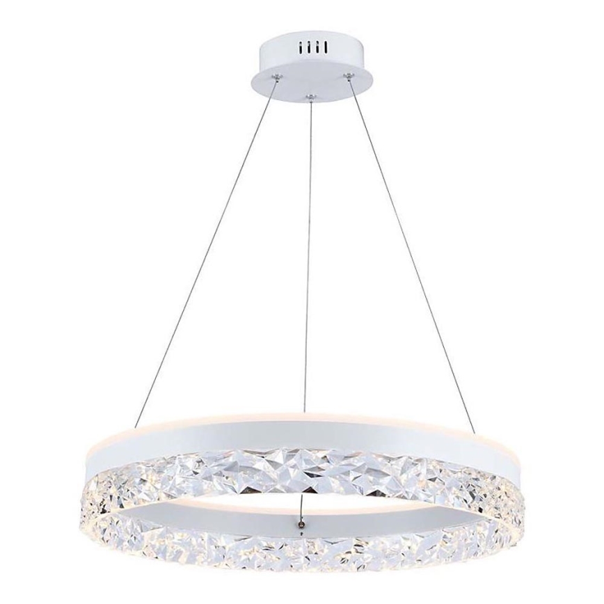 LED luster na sajli LED/25W/230V 3000K pr. 50 cm bela