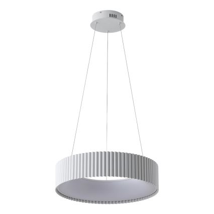 LED luster na sajli LED/30W/230V 3000K bela