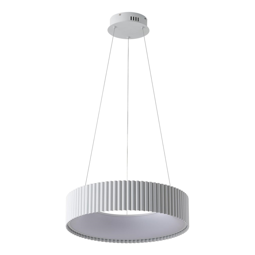LED luster na sajli LED/30W/230V 3000K bela