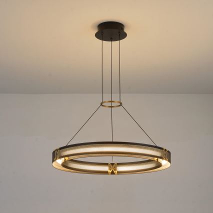 LED luster na sajli LED/33W/230V 3000K 62x120 cm