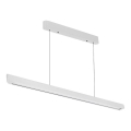 LED luster na sajli LED/36W/230V 3000/4000/6400K bela